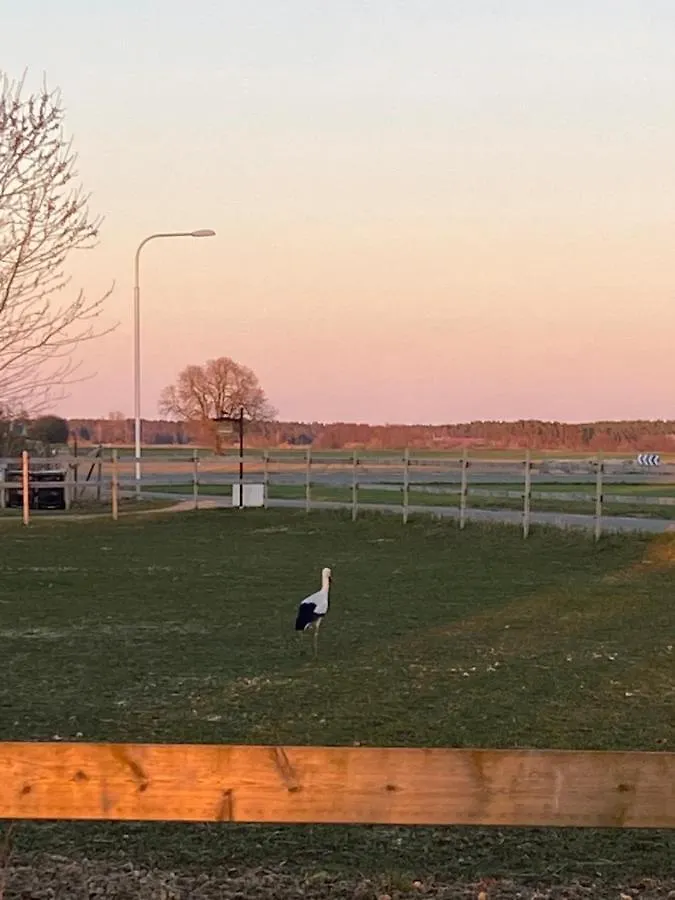 Lilla Sandslaett Åhus Ferienhaus